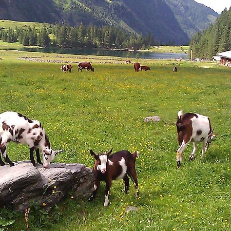 Willa Ferienhaus Gerlinde II Kaprun Zewnętrze zdjęcie